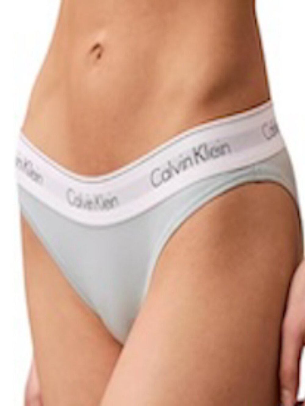 Calvin Klein Women's Modern Cotton Bikini Underwear- F3787